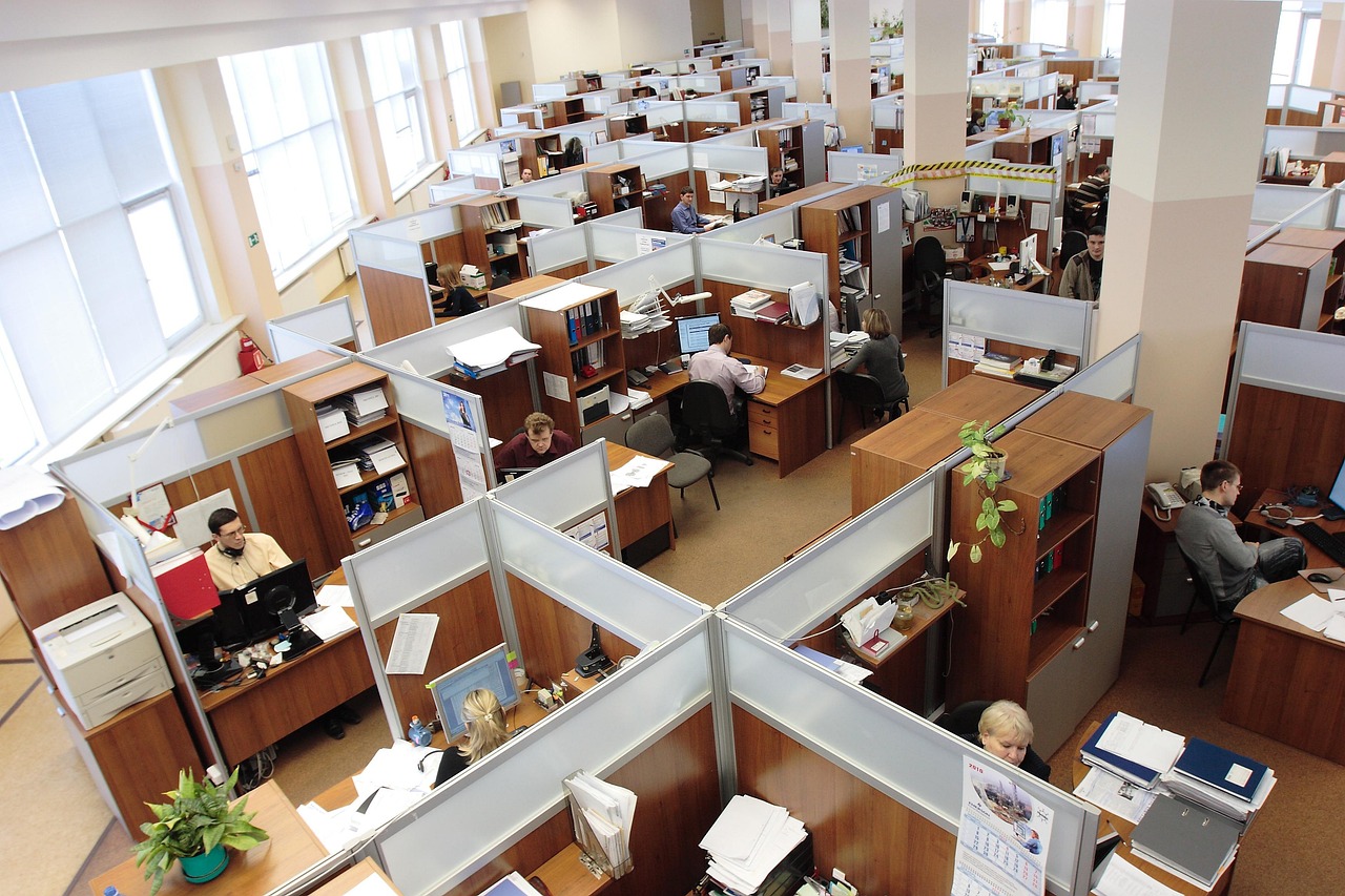 office, cubicles, employees, working, corporate, interior, men, women, russia, workers, complex, computers, business, building, inside, office, cubicles, employees, employees, employees, employees, employees, workers